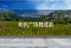 希帆广场舞成都