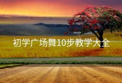 初学广场舞10步教学大全