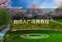 曲终人广场舞教程