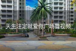 天生注定就爱你广场舞视频