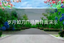 岁月如刀广场舞背面演示