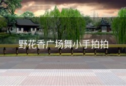 野花香广场舞小手拍拍