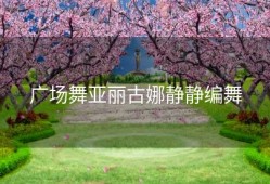 广场舞亚丽古娜静静编舞