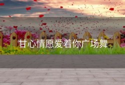 甘心情愿爱着你广场舞