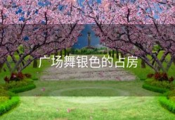 广场舞银色的占房