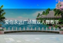 爱你永远广场舞双人舞教学