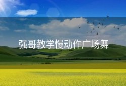 强哥教学慢动作广场舞