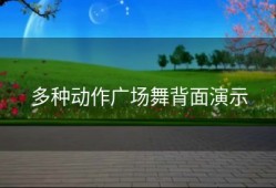 多种动作广场舞背面演示