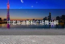 中老年迪斯科广场舞分解