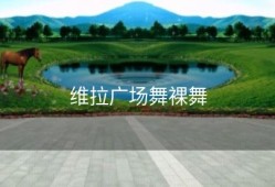 维拉广场舞裸舞