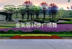 金芙蓉16步广场舞