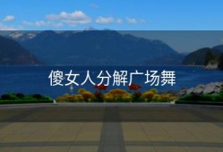 傻女人分解广场舞