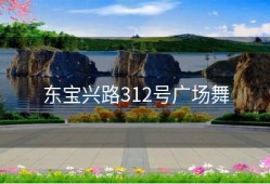 东宝兴路312号广场舞
