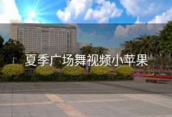 夏季广场舞视频小苹果