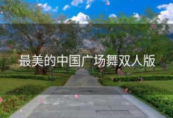 最美的中国广场舞双人版