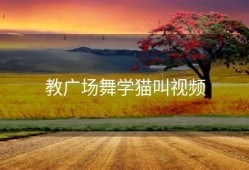 教广场舞学猫叫视频