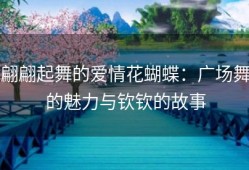 翩翩起舞的爱情花蝴蝶：广场舞的魅力与钦钦的故事