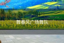 舞春风广场舞队