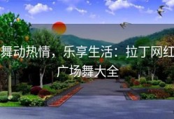 舞动热情，乐享生活：拉丁网红广场舞大全