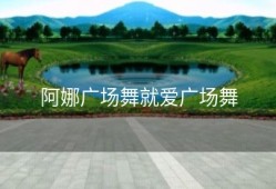 阿娜广场舞就爱广场舞