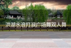 洪湖水浪打浪广场舞双人舞