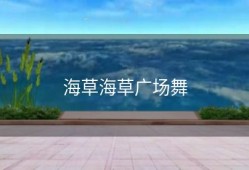 海草海草广场舞