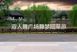 双人舞广场舞梦回草原