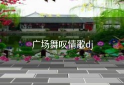 广场舞叹情歌dj