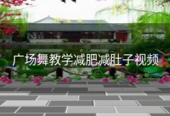 广场舞教学减肥减肚子视频