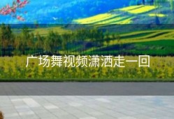 广场舞视频潇洒走一回