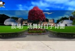 晨曦广场舞好日子背面