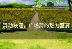 舞动联谊，广场舞的魅力盛宴