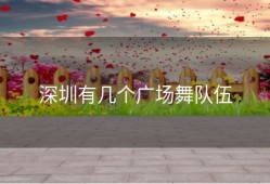 深圳有几个广场舞队伍
