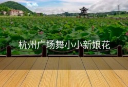杭州广场舞小小新娘花