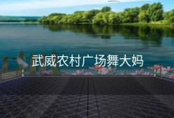 武威农村广场舞大妈