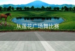 从莲花广场舞比赛