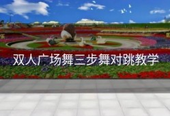 双人广场舞三步舞对跳教学