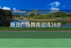 糖豆广场舞南泥湾16步