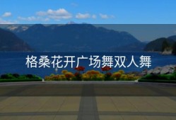 格桑花开广场舞双人舞