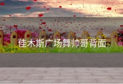 佳木斯广场舞帅哥背面