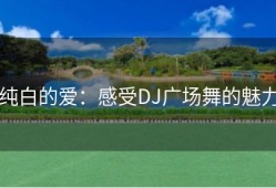 纯白的爱：感受DJ广场舞的魅力