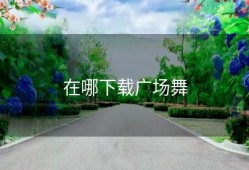 在哪下载广场舞