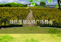 我就是那么帅广场舞dj