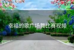 幸福的歌广场舞比赛视频