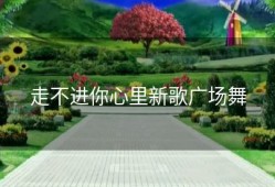 走不进你心里新歌广场舞