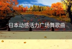 日本动感活力广场舞歌曲