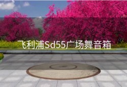 飞利浦Sd55广场舞音箱