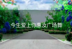 今生爱上你惠汝广场舞