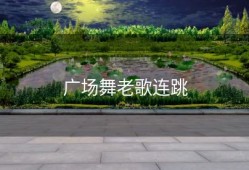 广场舞老歌连跳