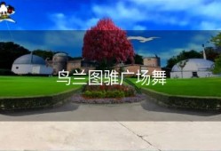 鸟兰图骓广场舞